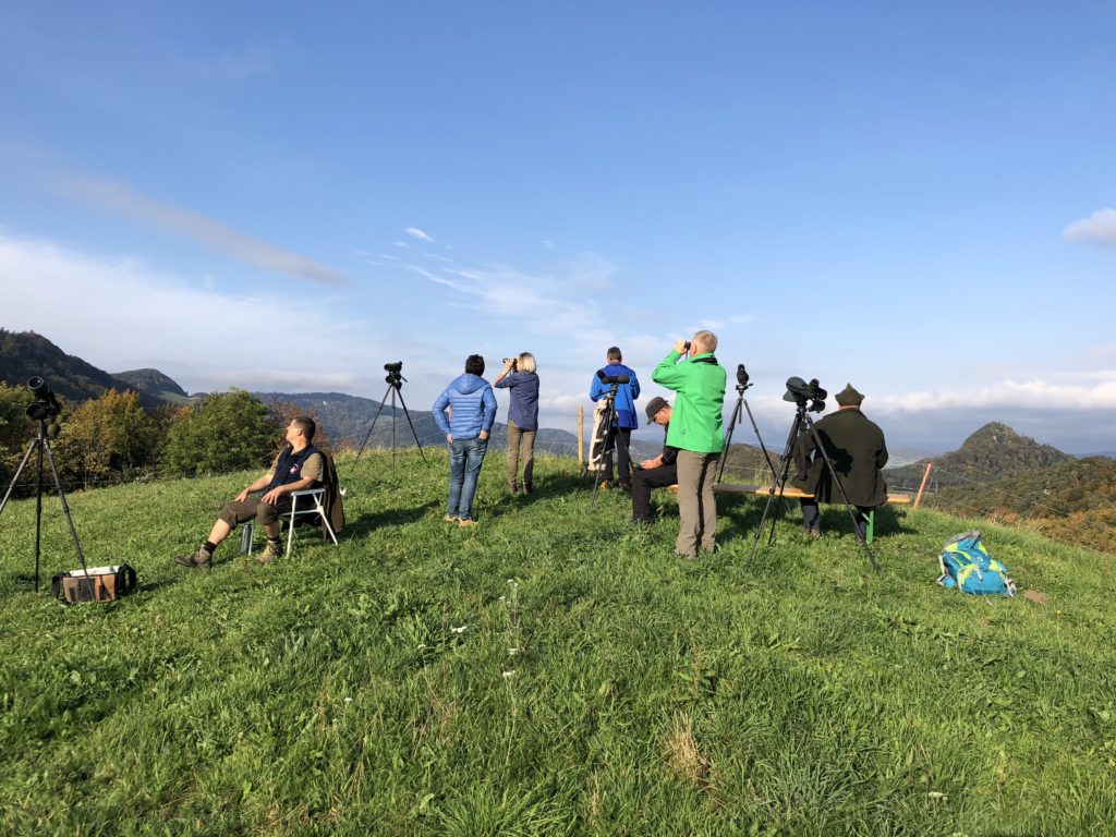 Zugvogeltag auf dem Gupf 07.10.2018