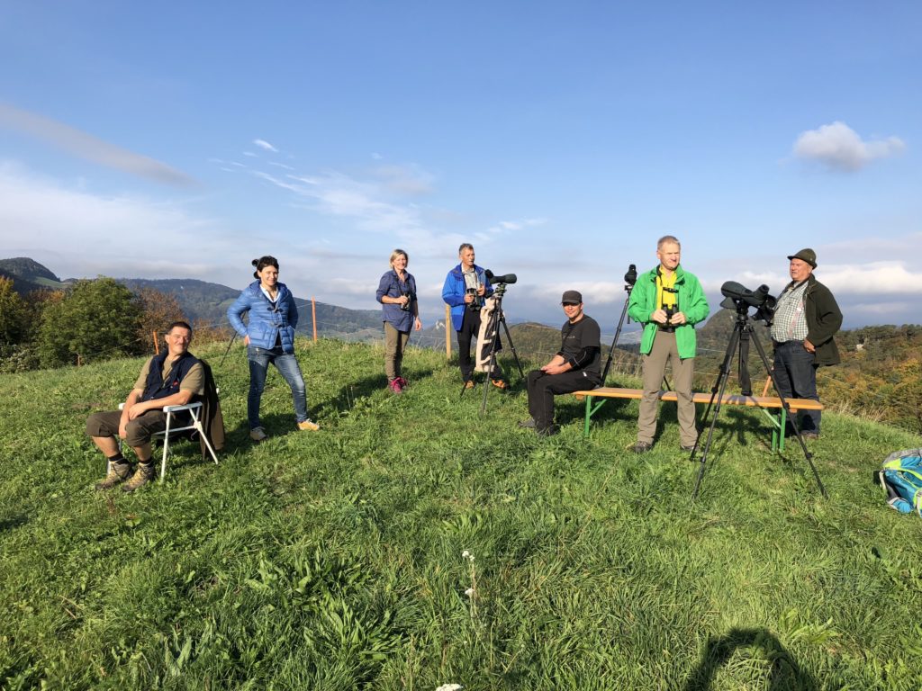 Zugvogeltag auf dem Gupf 07.10.2018